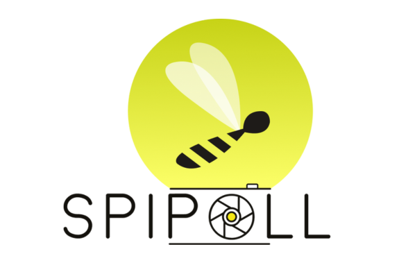 Logo Spipoll - Agrandir l'image, fenêtre modale
