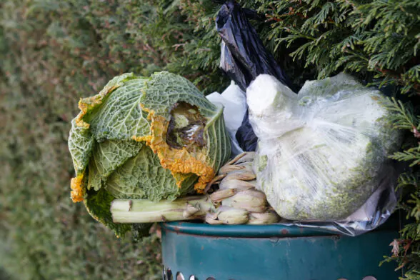 Photo d'une poubelle noire avec des déchets alimentaires qui débordent. - Agrandir l'image, fenêtre modale