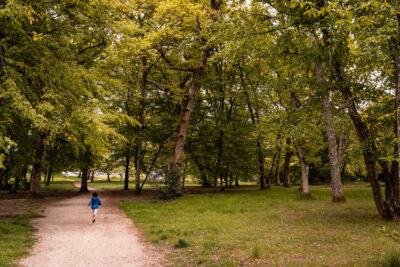 Petit chemin au milieu d'un bois - Agrandir l'image 1 sur 1, fenêtre modale