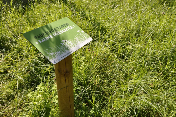 Agrandir l'image, fenêtre modale