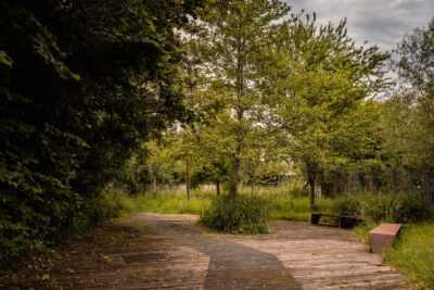 Photo du Parc du ruisseau - Agrandir l'image 1 sur 1, fenêtre modale