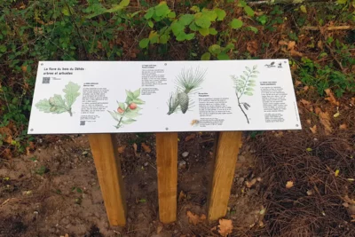 Agrandir l'image 2 sur 3, fenêtre modale