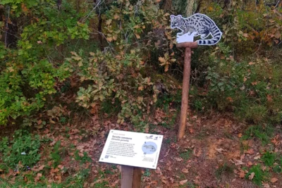 Agrandir l'image 3 sur 3, fenêtre modale