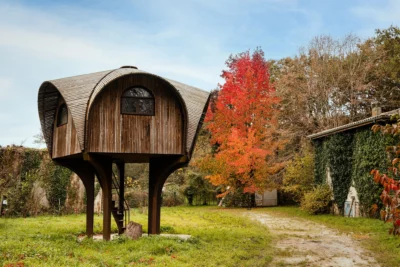 Agrandir l'image 1 sur 1, fenêtre modale