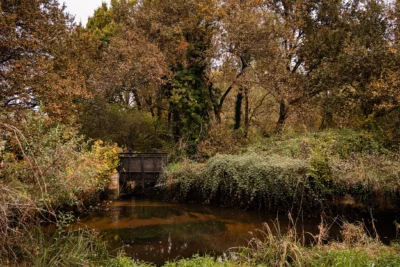 Agrandir l'image 2 sur 2, fenêtre modale