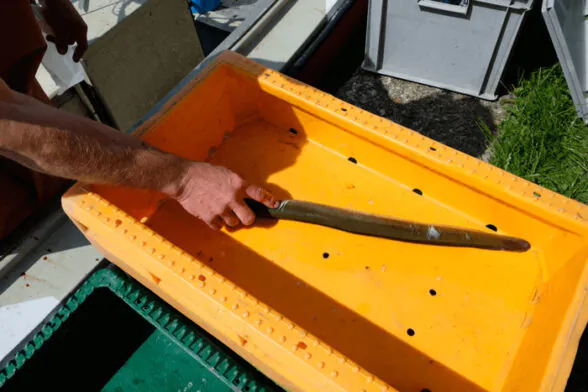 Agrandir l'image, fenêtre modale