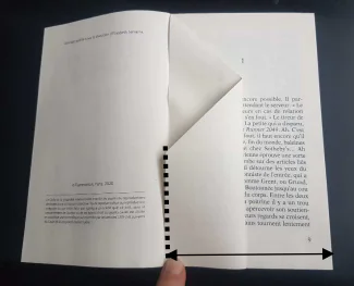 Agrandir l'image, fenêtre modale