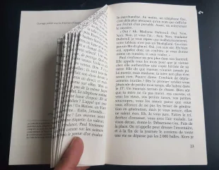 Agrandir l'image, fenêtre modale