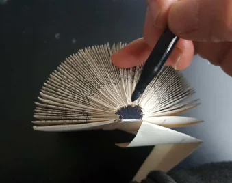 Agrandir l'image, fenêtre modale