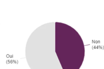 Agrandir l'image 1 sur 1, fenêtre modale