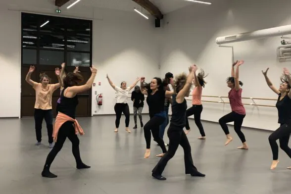 Agrandir l'image, fenêtre modale