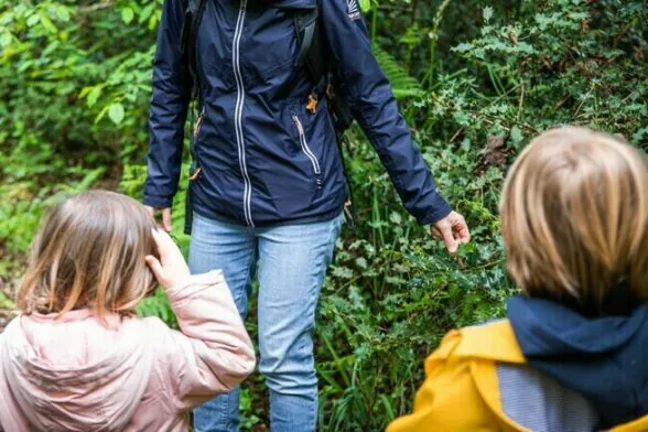 Agrandir l'image, fenêtre modale