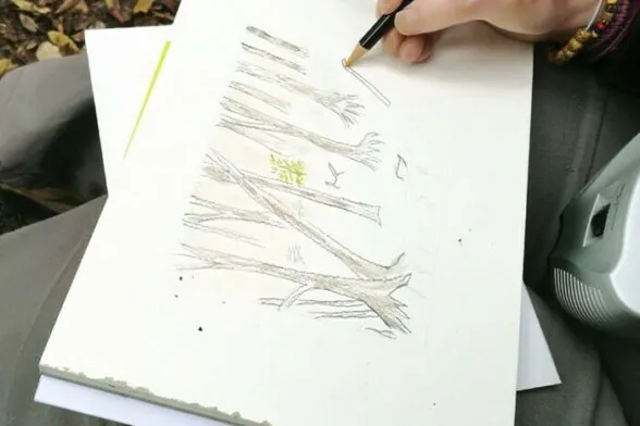 Agrandir l'image, fenêtre modale