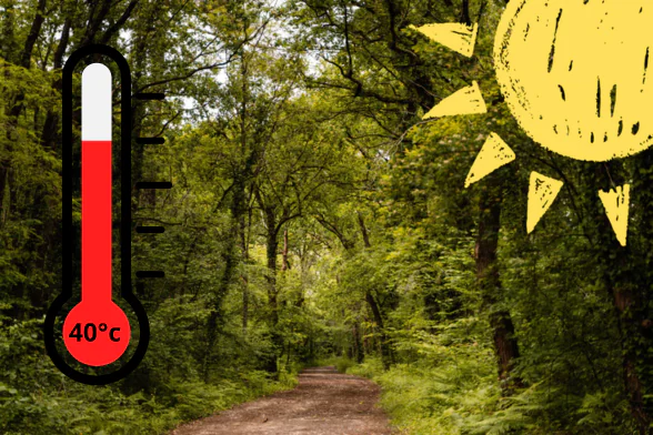 Visuel canicule rouge